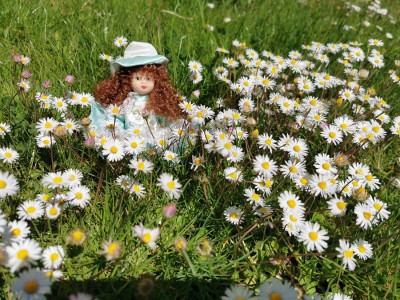 Lilien
